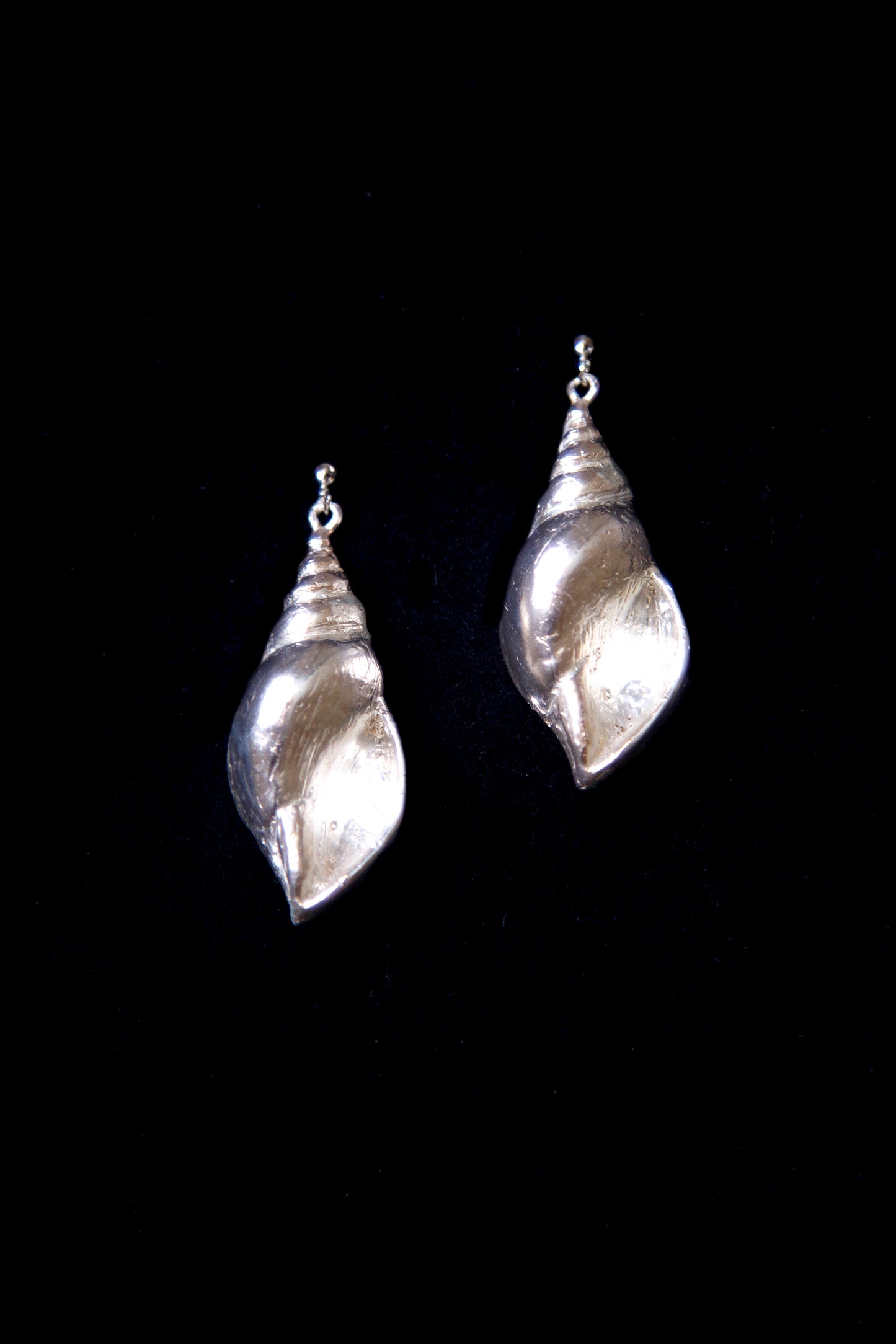 XL SEASHELL EARRINGS