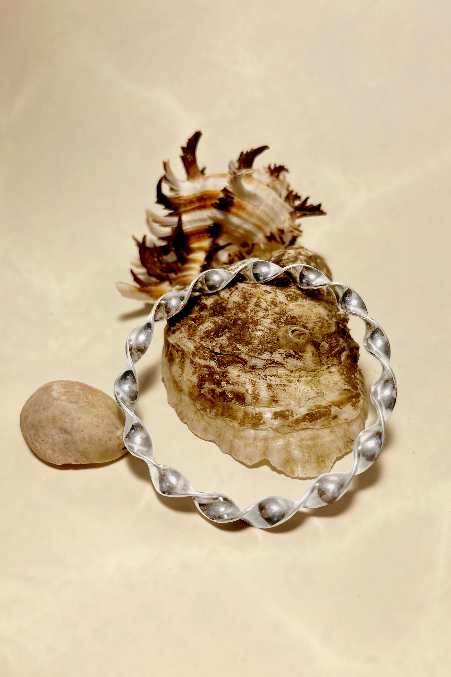 TWISTED TORUS BRACELET