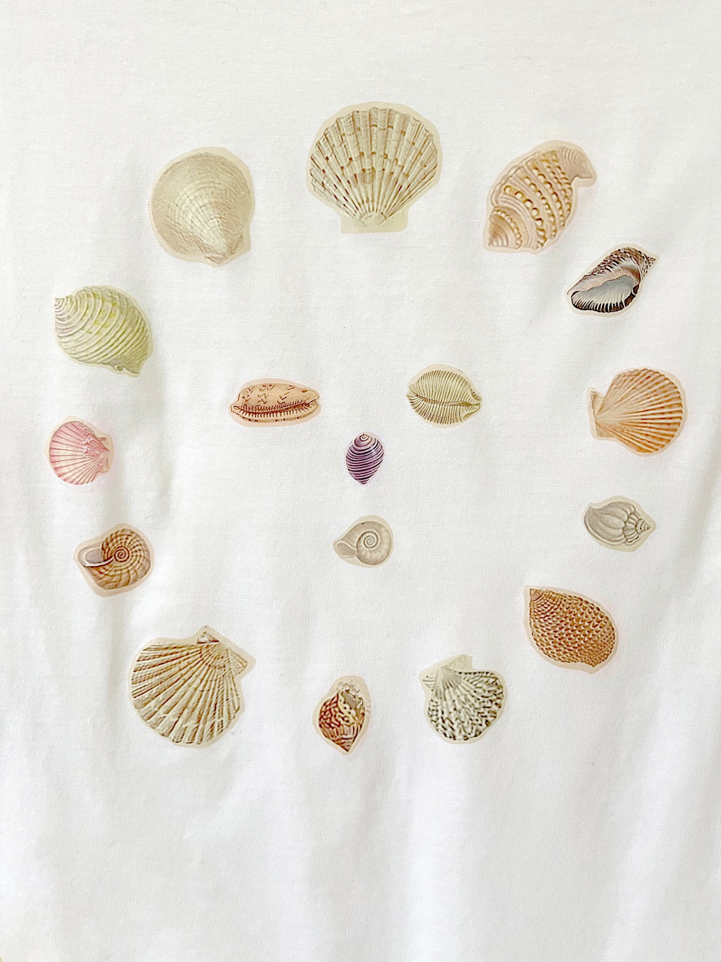 SLEEPY SHELL TEE