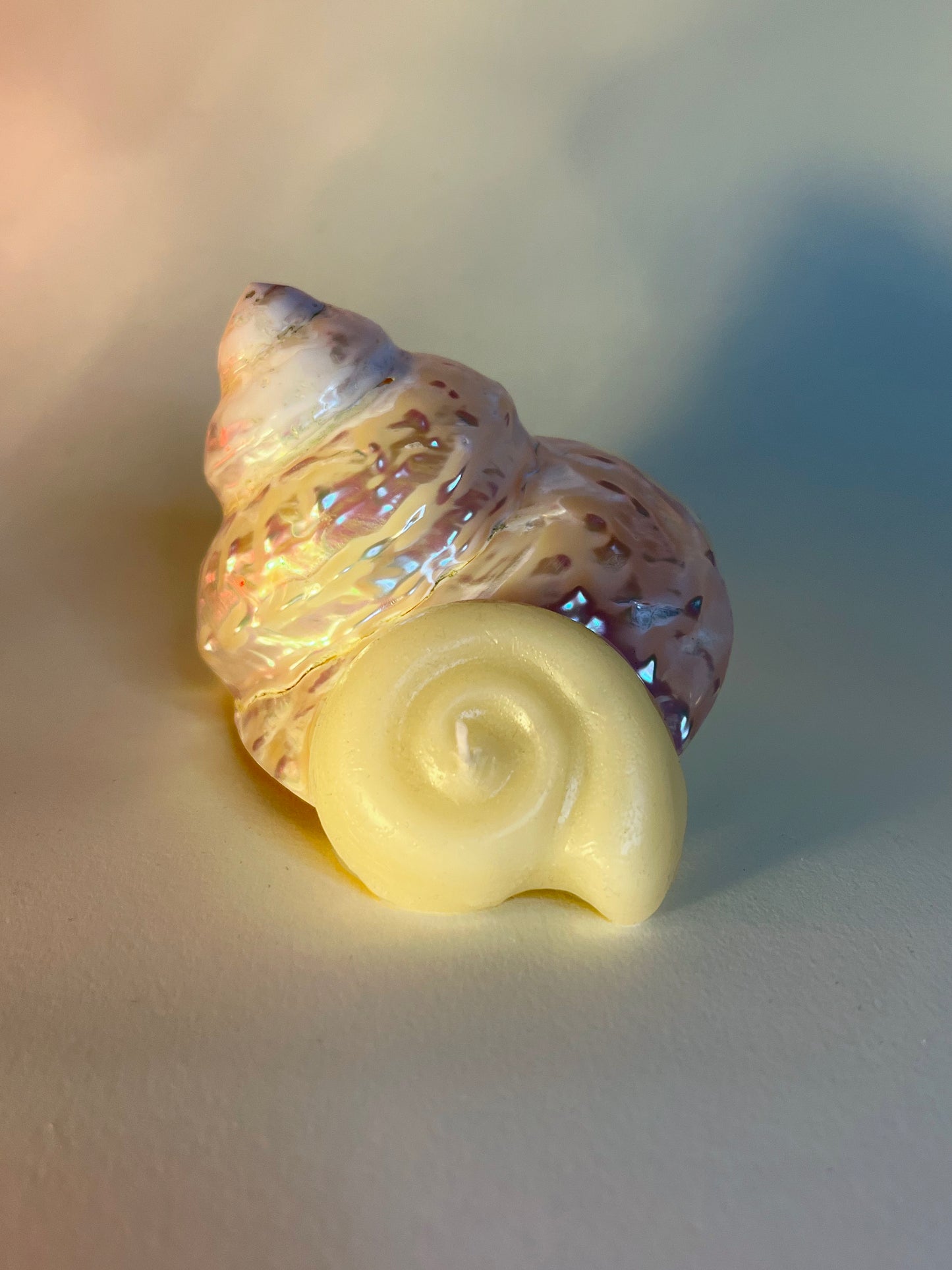 SPIRAL SNAIL TEA LIGHT