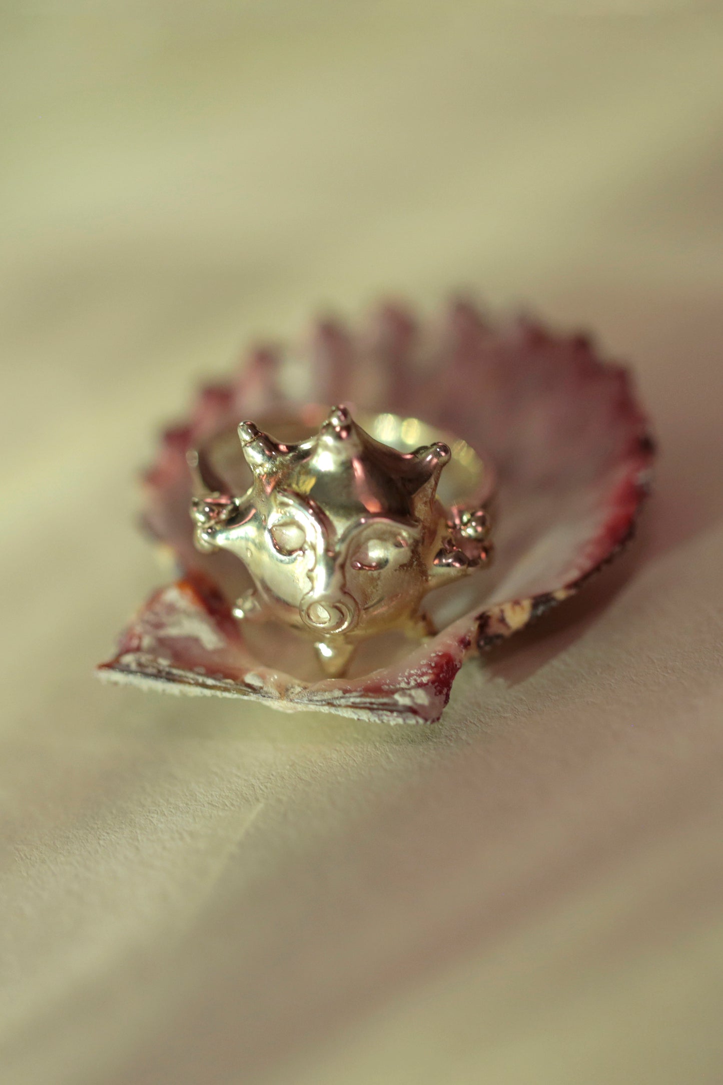 Sterling Silver CLARK Tempest ring held in a shell. The warm pink of the shell contrasts against the high polish of the unique statement ring.