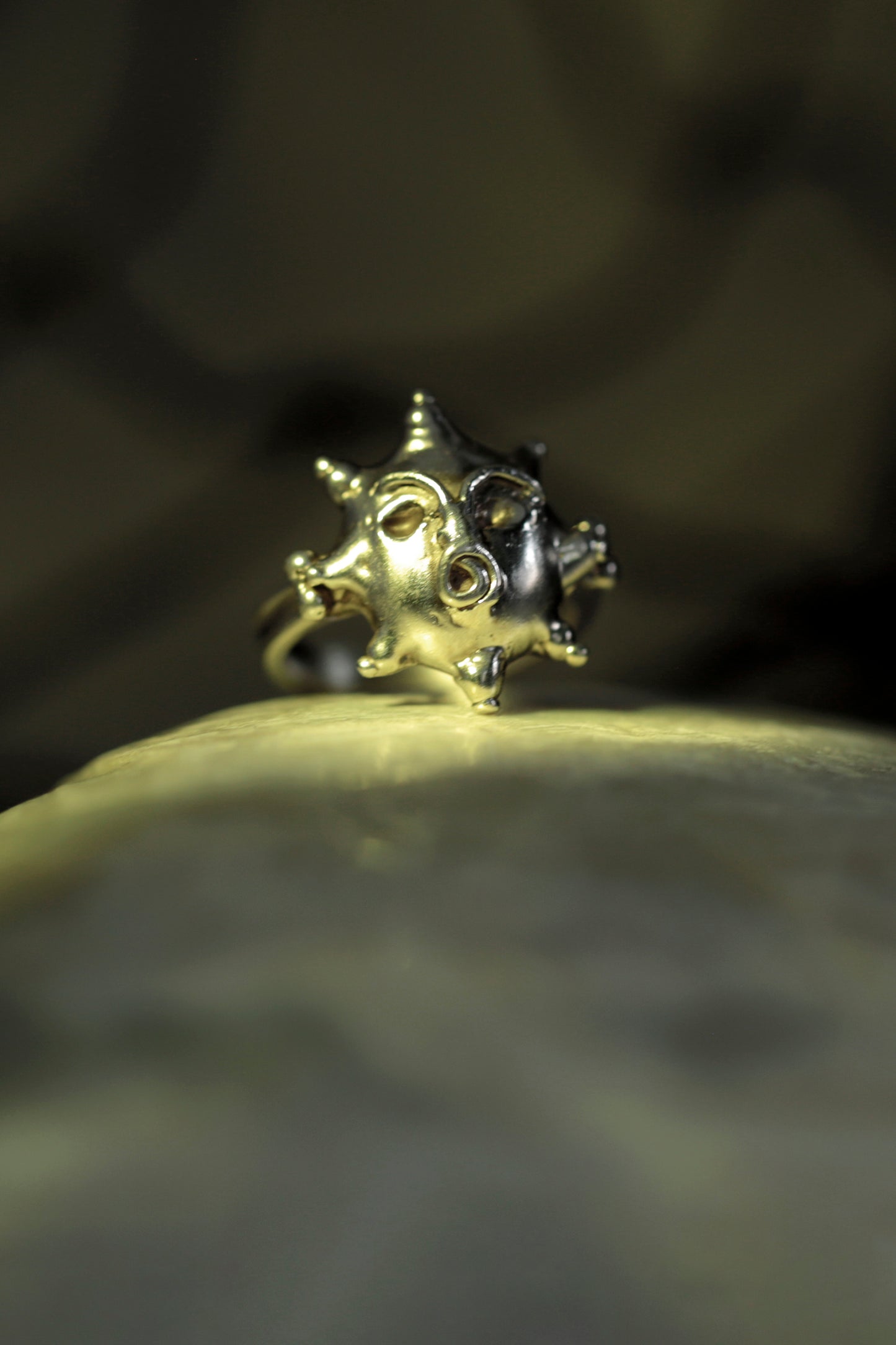 Tempest ring by Clark bathed in a green hue on top of a rock. Moonface ring with 8 points like a sun or compass; hand craft in Sterling Silver and created using the lost wax casting method making each piece one-of-a-kind.